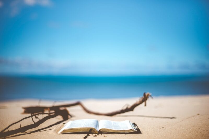 opened book near brown wood branch on sand under blue sky
