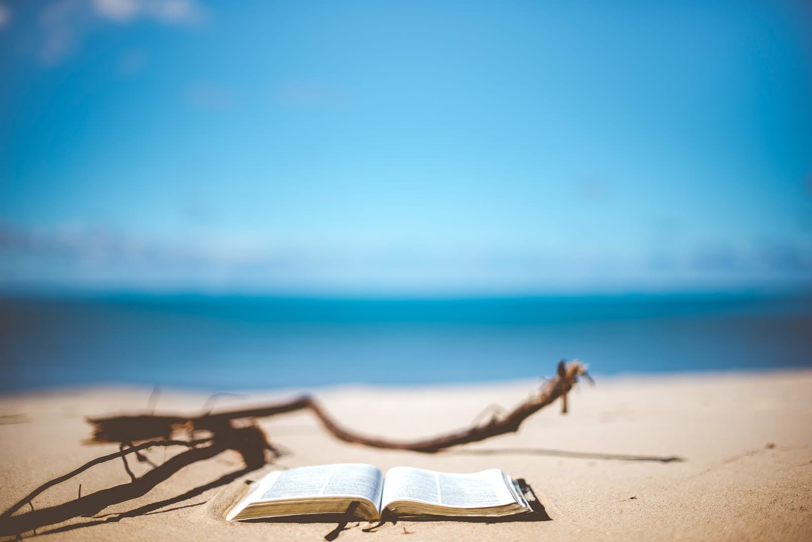 opened book near brown wood branch on sand under blue sky